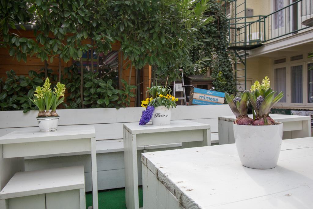 Hotel Mimosa Scheveningen Hotel Den Haag