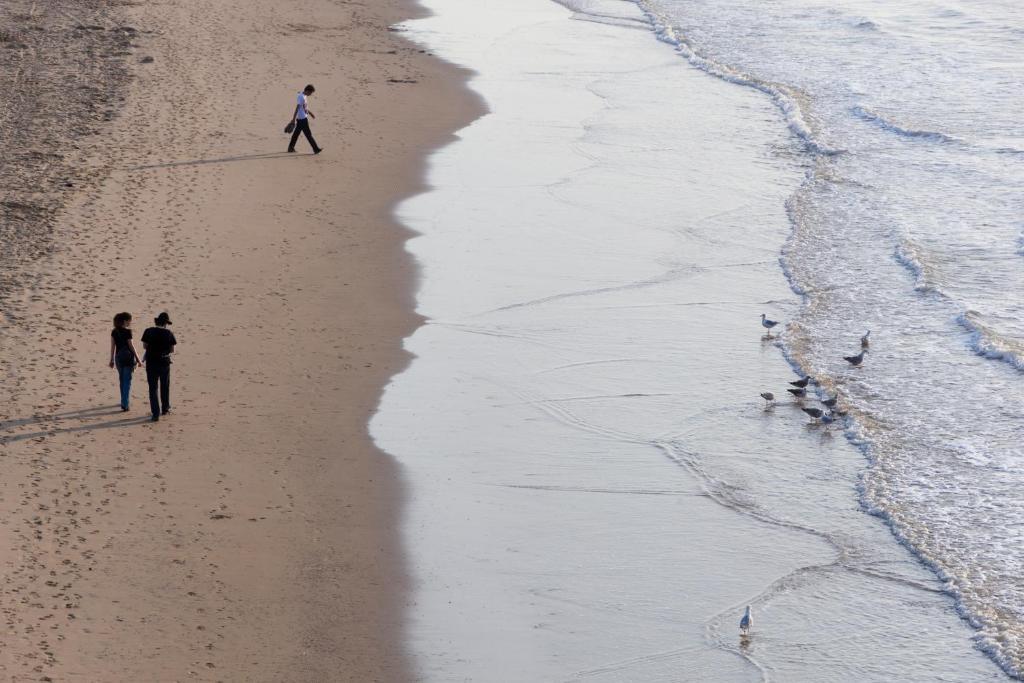 Hotel Mimosa Scheveningen 2* Den Haag