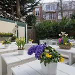 Hotel Mimosa Scheveningen