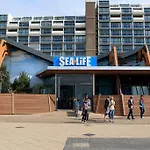 Hotel Hotel Mimosa Scheveningen 2*