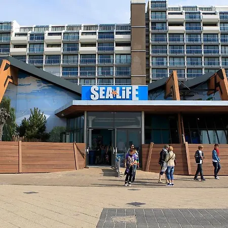 Hotel Hotel Mimosa Scheveningen 2*