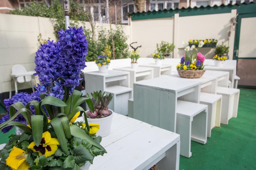 Hotel Hotel Mimosa Scheveningen 2*