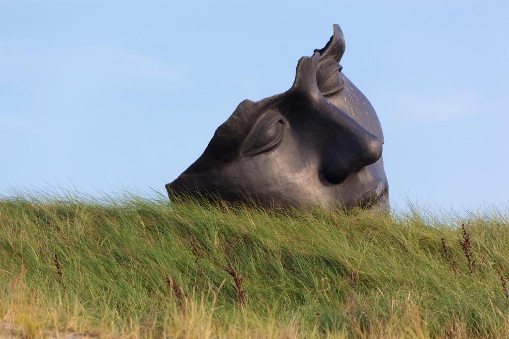Hotel Mimosa Scheveningen